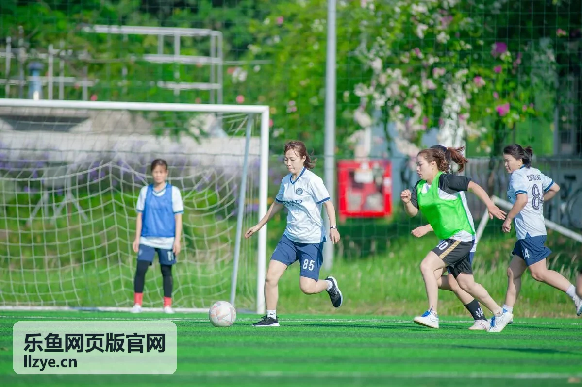 乐鱼网页版官网场景工具与模板清单封面图